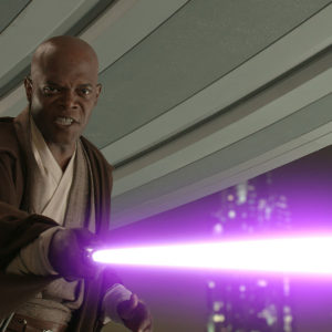 Mace Windu Bundle (JMF & Purple Mystic)