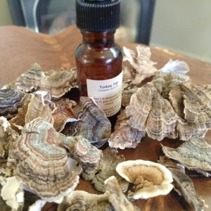 Turkey Tail Tincture