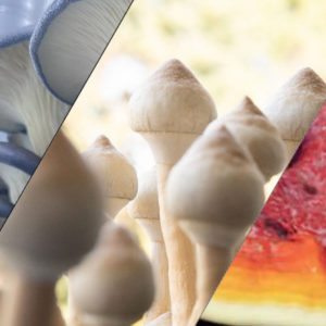 Red, White & Blue Bundle